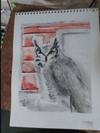 Great Horned Owl sitting in front of a red wood panel house