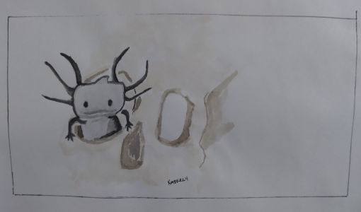 Axolotl popping out of a skull