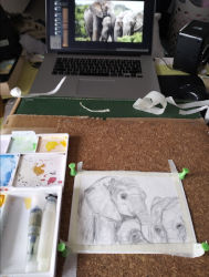 Reference of mama elephant and babies