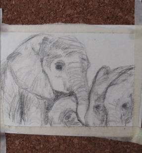 Outline of mamma and three baby elephants in pencil